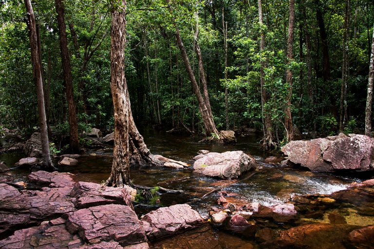 Buley Rockhole and Florence Falls - Litchfield Outback Resort